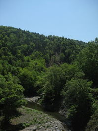 kawa1.JPG