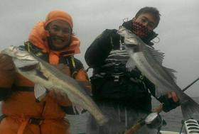 [琵琶湖のシャローから〜番外編] 冬の、練習としての釣り's image(2)