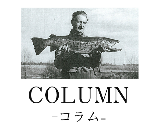 COLUMN-コラム-