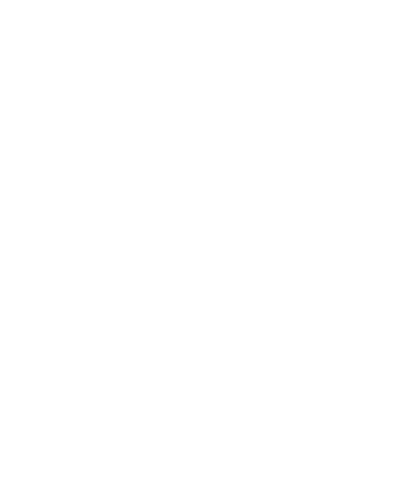 FEATURE01 TAF(Triarchy Force)製法採用