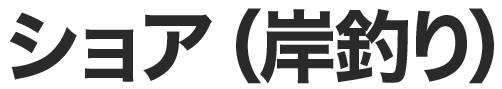 ショア（岸釣り）