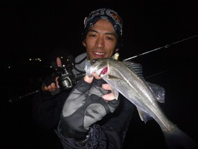 三道　竜也の釣行記　5月シーバス編's image(3)