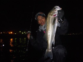 三道　竜也の釣行記　5月シーバス編's image(1)