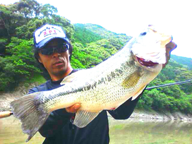 停滞時期には全く異なるパターンを！！'s image(3)