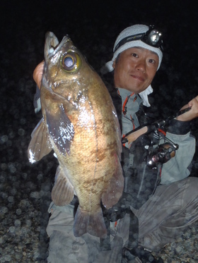 今宵も夜霧のメガめばる　IN茨城 　　　　　　塩津紀彦's image(9)