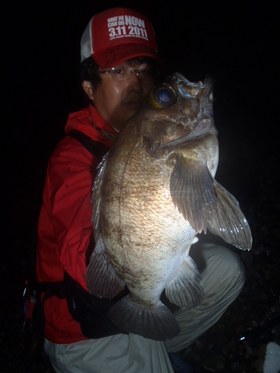 今宵も夜霧のメガめばる　IN茨城 　　　　　　塩津紀彦's image(3)