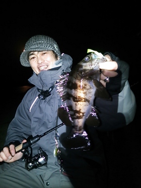 春告魚!!'s image(3)