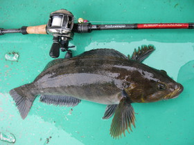 釣行記（北海道の渡邊です）'s image(1)