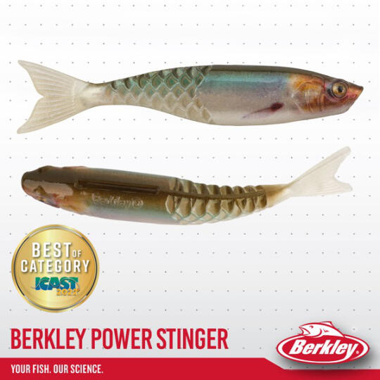 BERKLEY Power Stinger.jpg