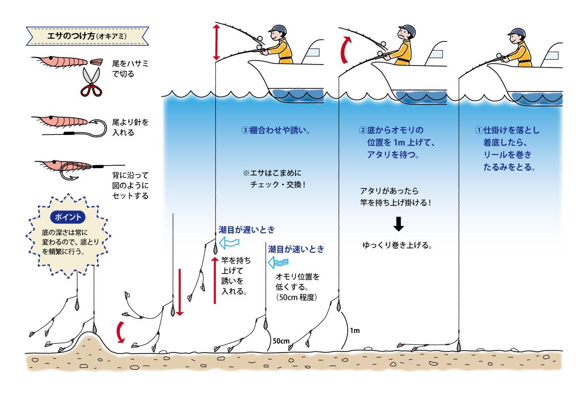 アマダイ 釣り 方