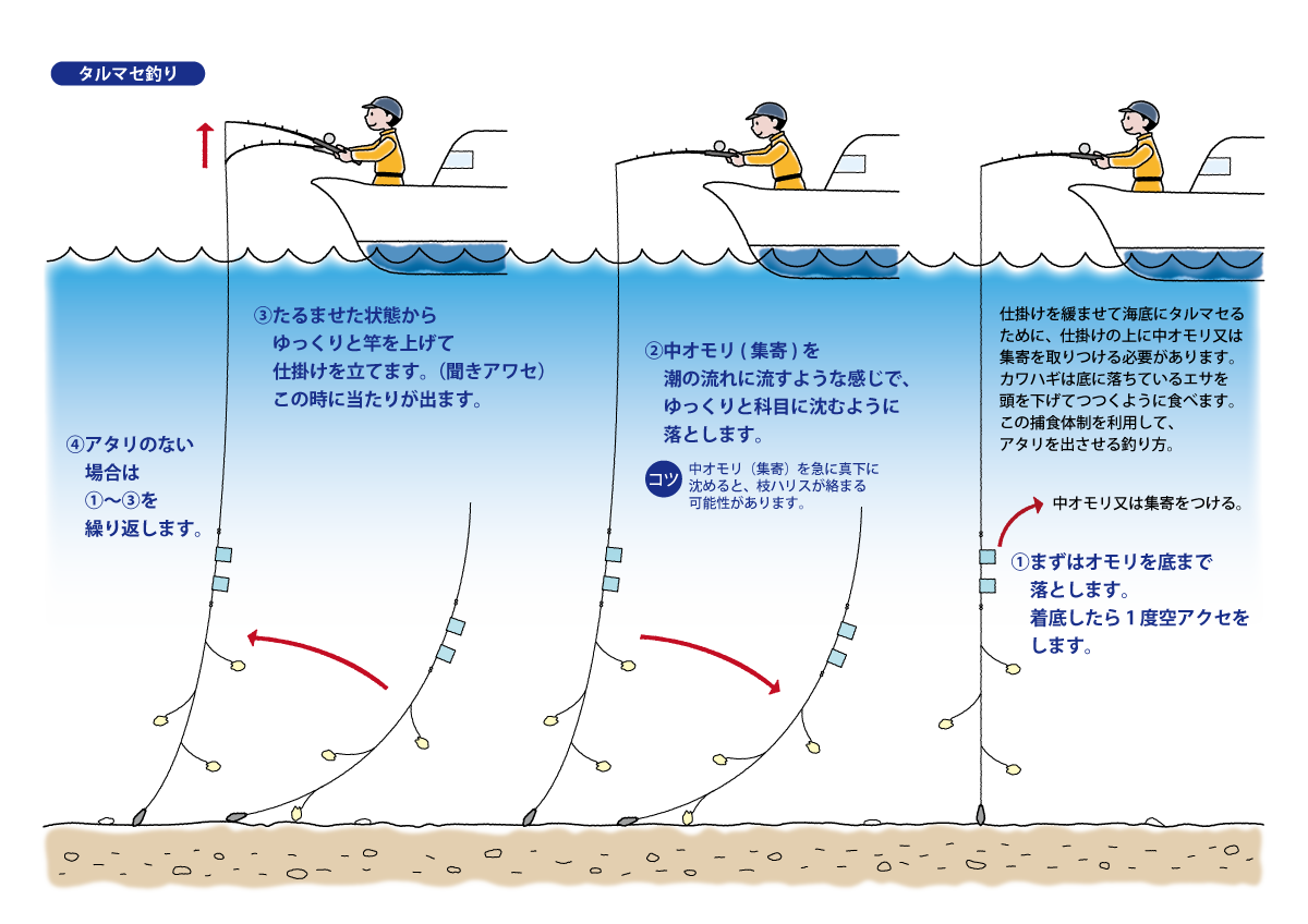 カワハギ 黒船 くろふね Webサイト