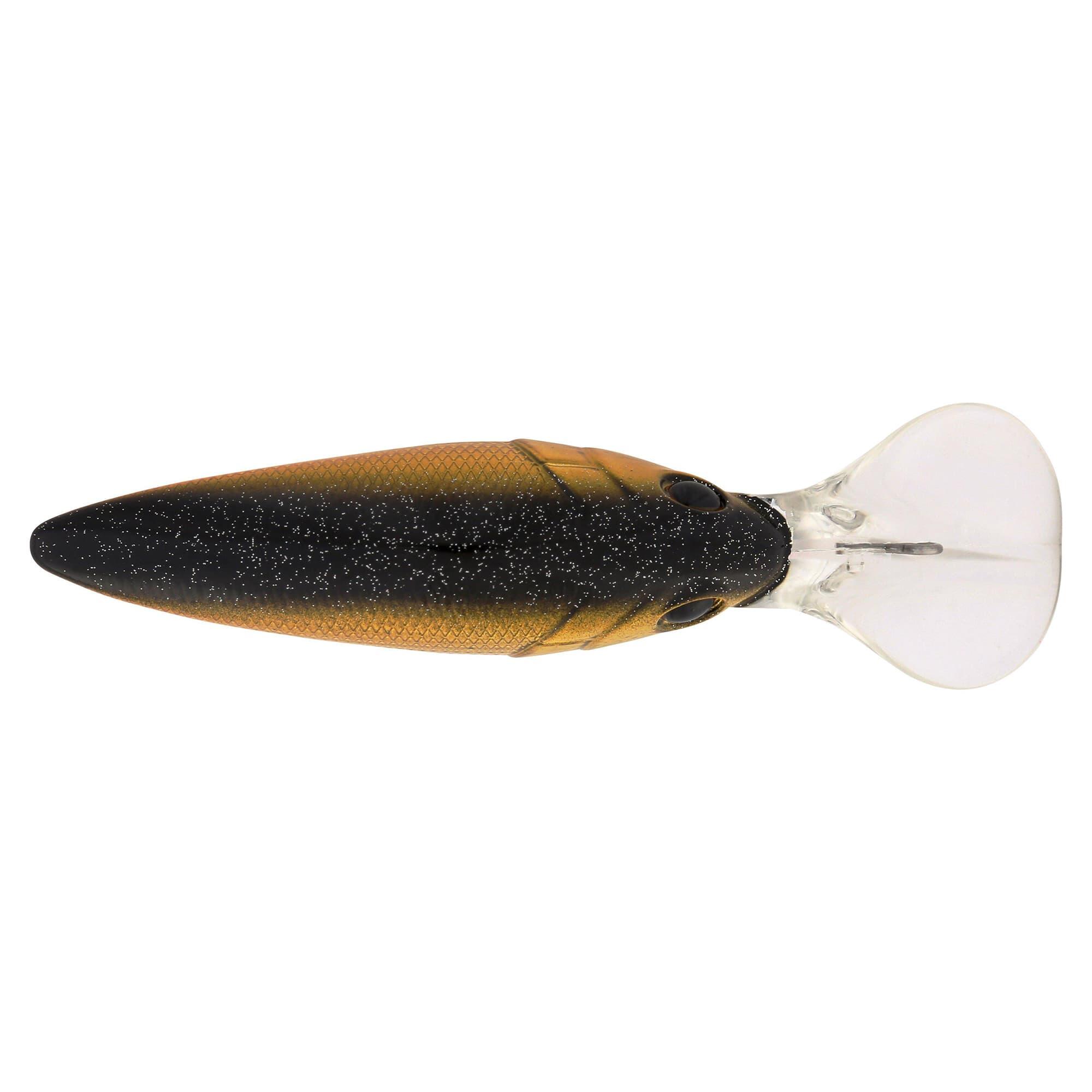 BGD(ブラックゴールド)