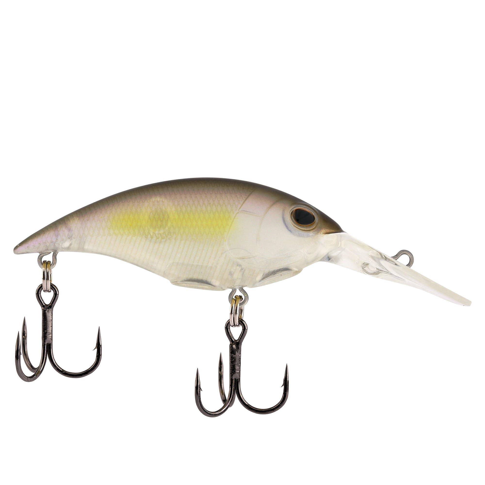 GMD(ゴーストモーニングドーン)