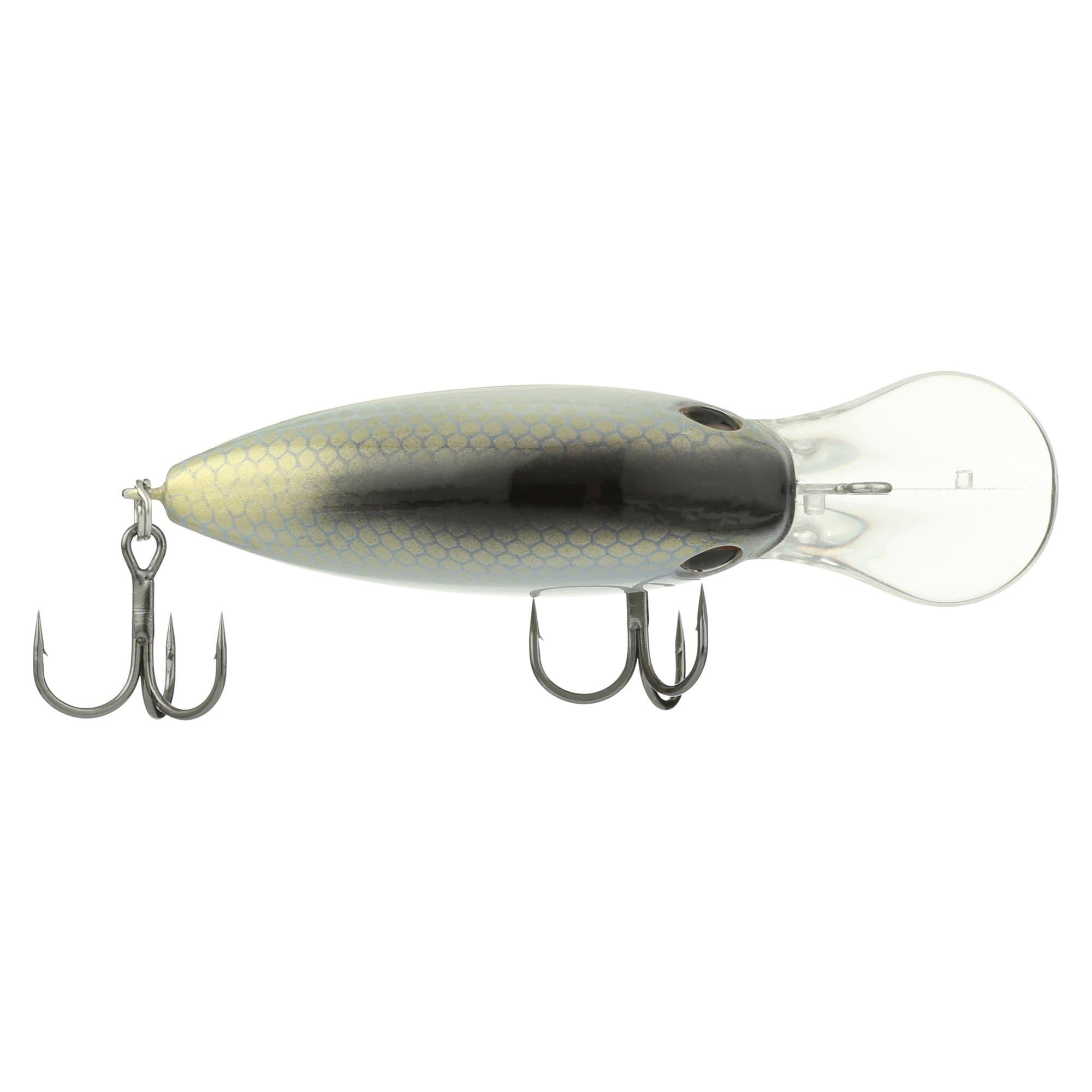 HNSH(ハニーシャッド)