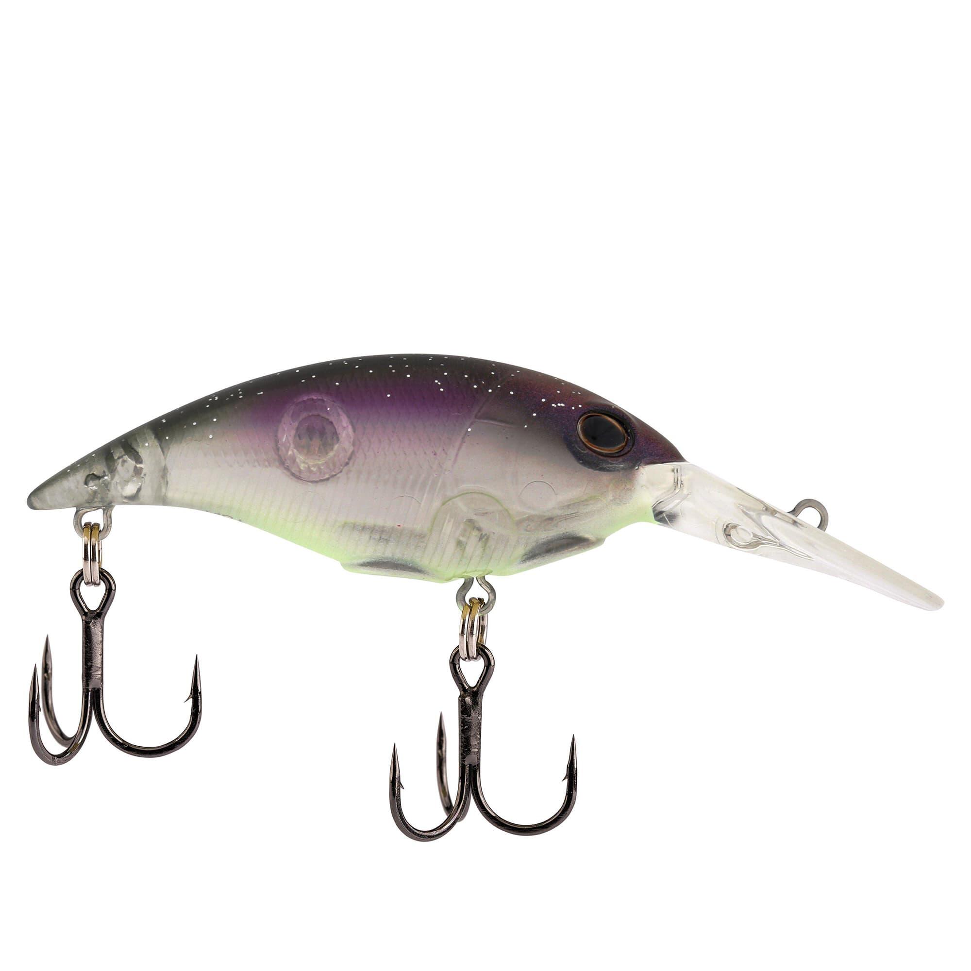 NL(ノーザンライツ)