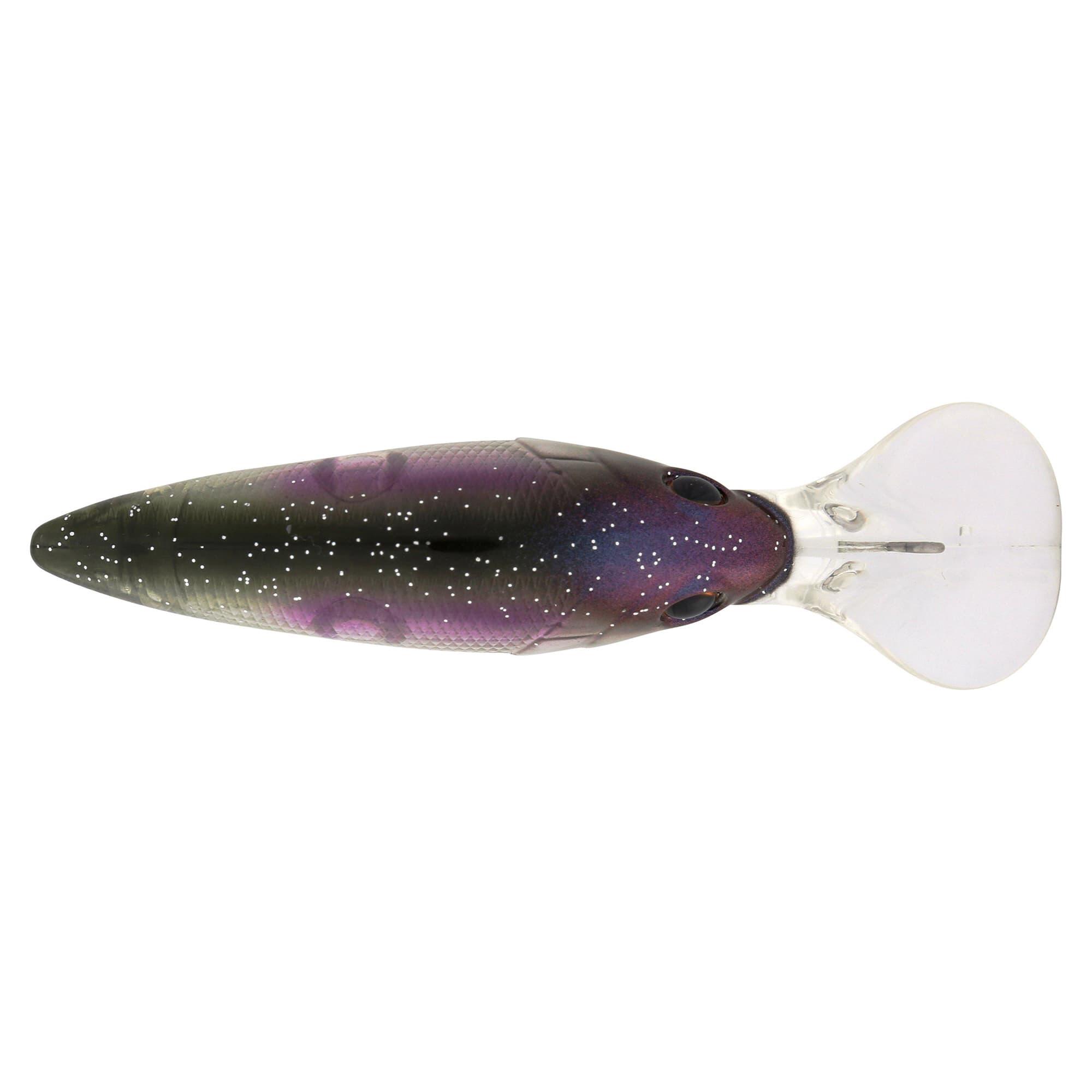 NL(ノーザンライツ)