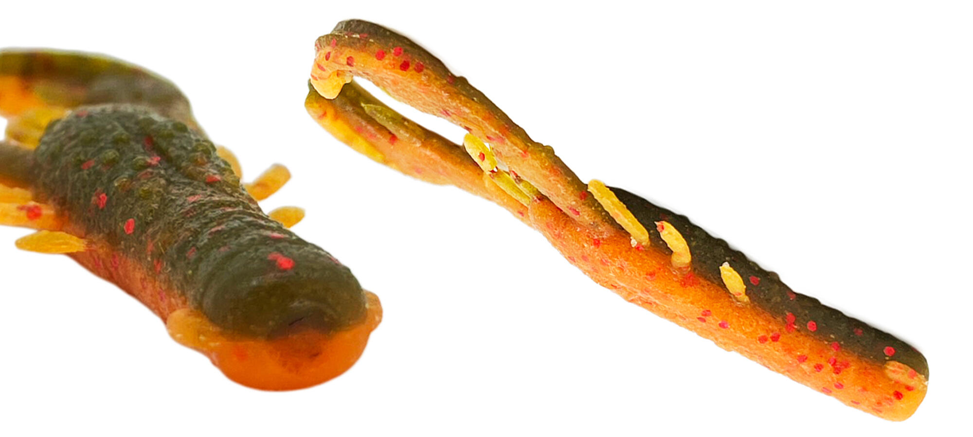 バックテール&フラットボトム