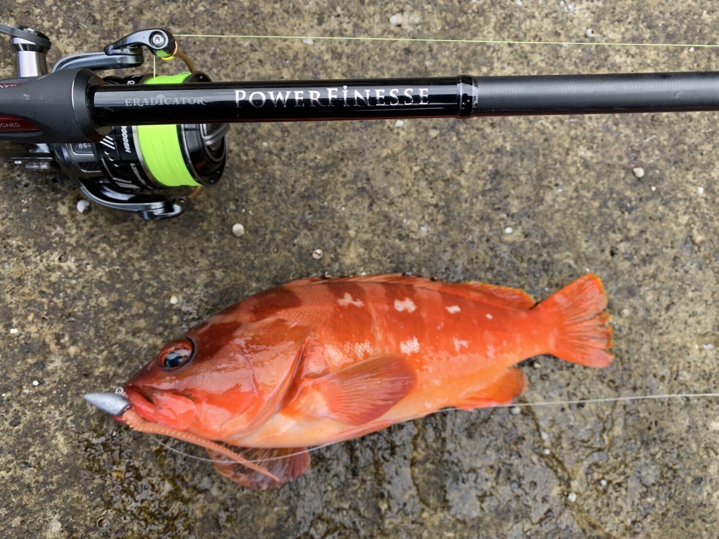 Eradicator Powerfinesse エラディケーター パワーフィネス Abugarcia 釣具の総合メーカー ピュア フィッシング ジャパン