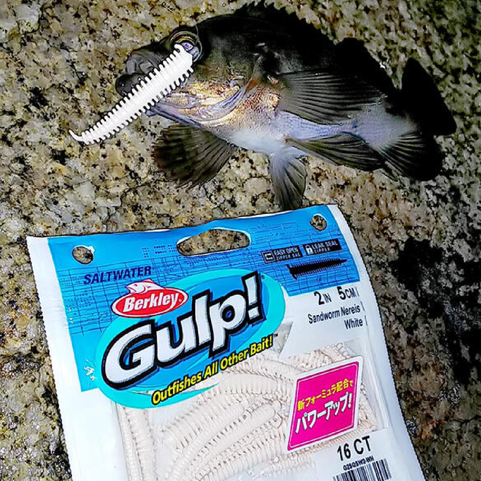 Gulp!Saltwater Sandworm 2inch（ガルプ！ソルトウォーター