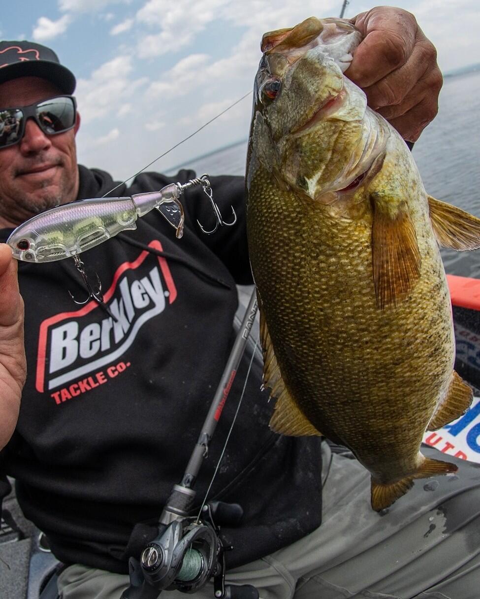 スクリーミンチョッポの画像2