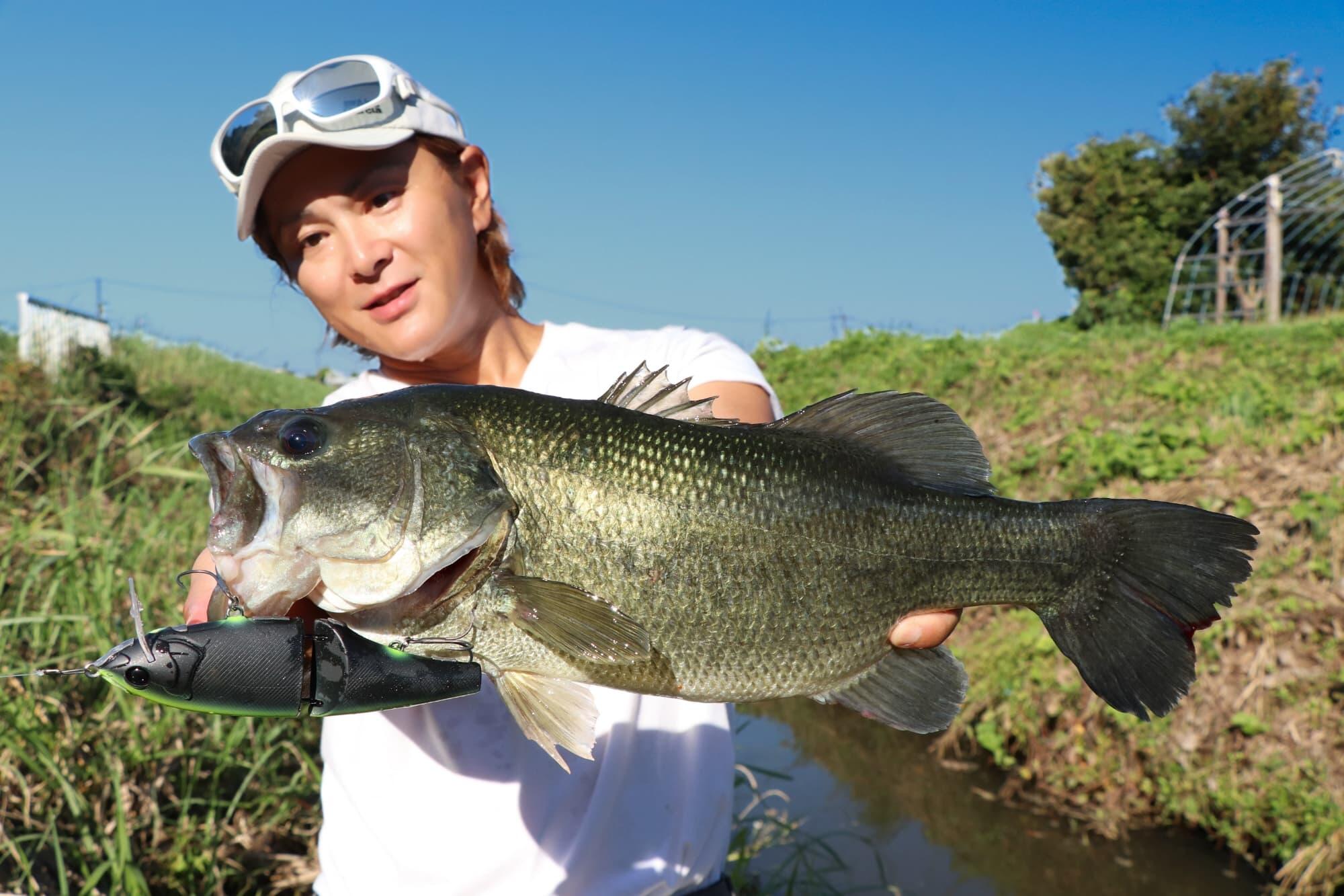 ゆっち氏監修 CBKCH（コスモブラックチャートリュース）