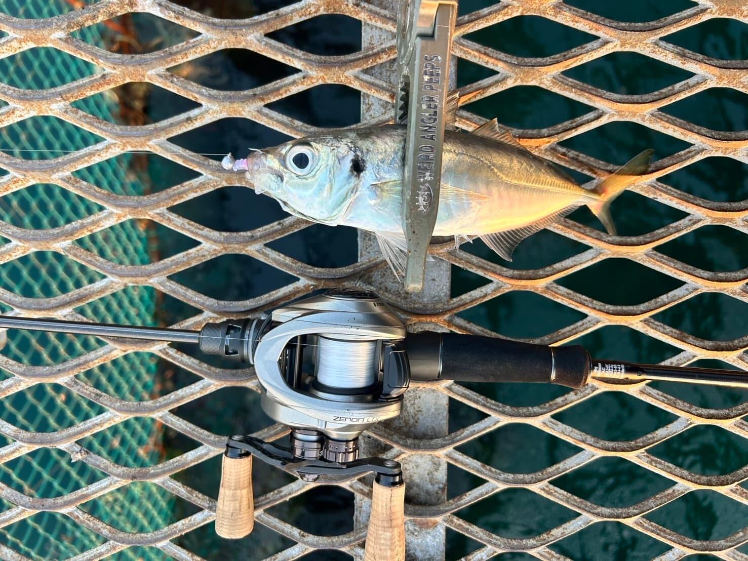Forwardを使用した釣果写真