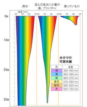 教えて！　ジョーンズ博士　赤い色のPE