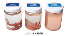 ガルプ！生分解過程