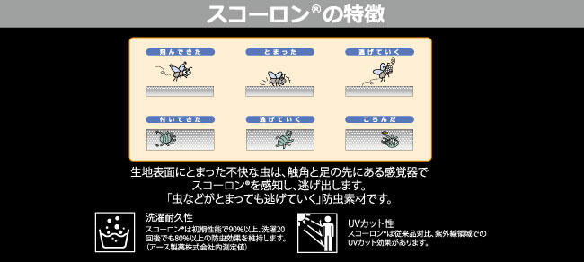 scoron_top_2-thumb-650x292-70197.jpg