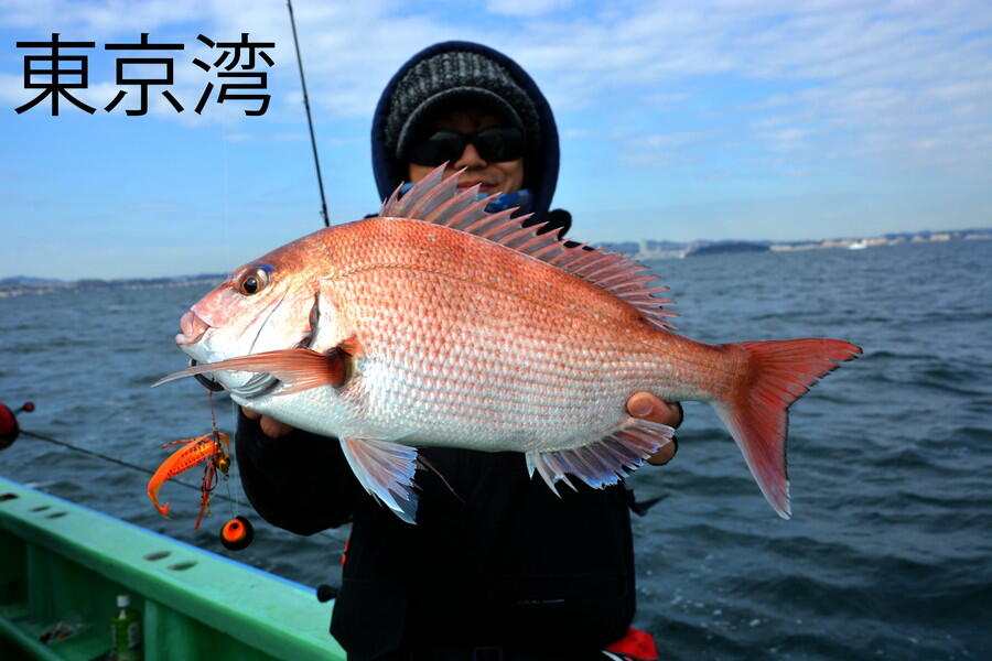 カチカチ玉｜AbuGarcia｜釣具の総合メーカー ピュア・フィッシング・ジャパン