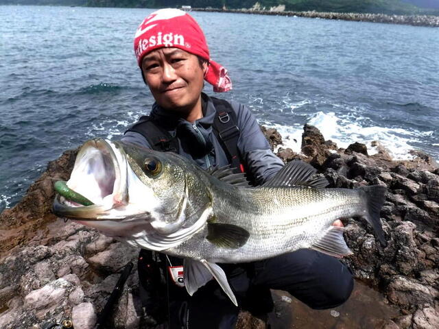 maxscent_photo_main_shiotsu_seabass-thumb-200x150-73665.jpg