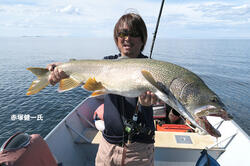 akatsuka_trout01-thumb-250x166-56048.jpg