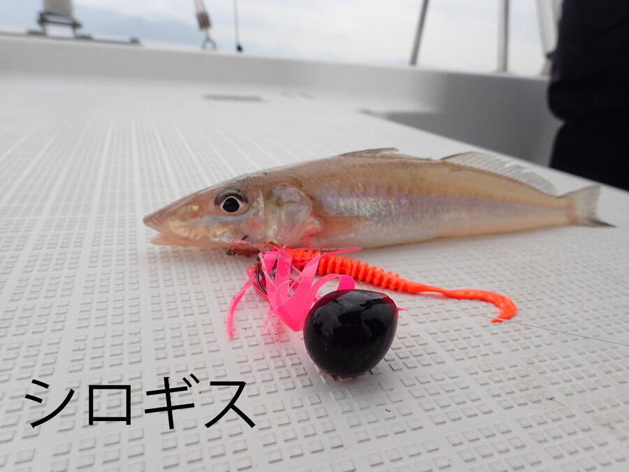 カチカチ玉｜AbuGarcia｜釣具の総合メーカー ピュア・フィッシング・ジャパン