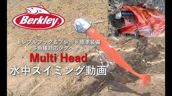 Berkley マルチヘッド水中アクション動画